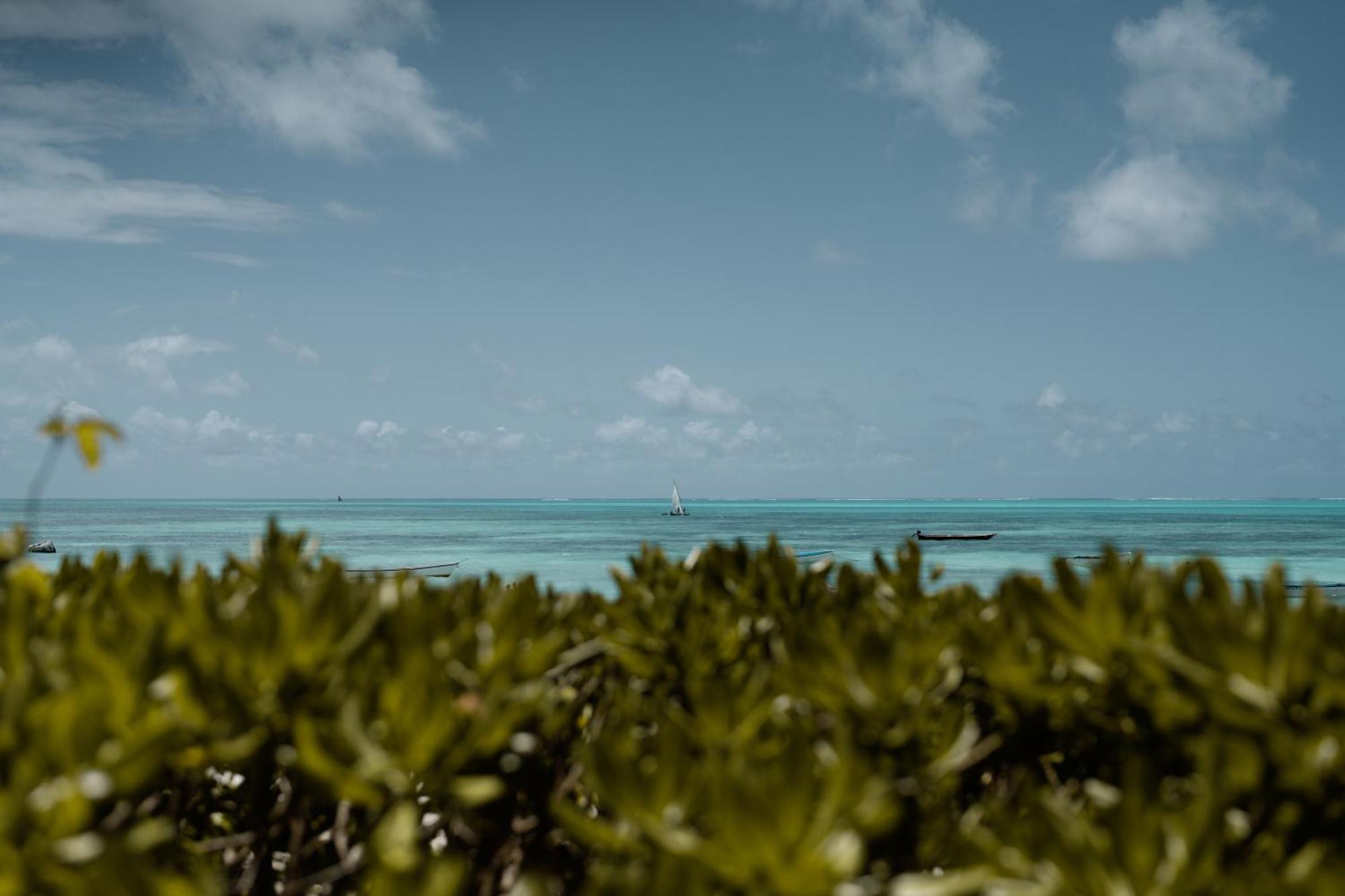 The Loop Beach Resort (Adults Only) Jambiani  Esterno foto